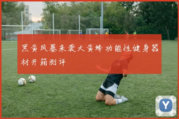 黑黄风暴来袭大黄蜂功能性健身器材开箱测评