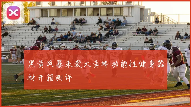 黑黄风暴来袭大黄蜂功能性健身器材开箱测评